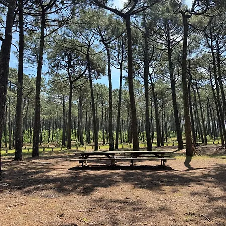 Duport - Le Hameau Des Pecheurs 1
