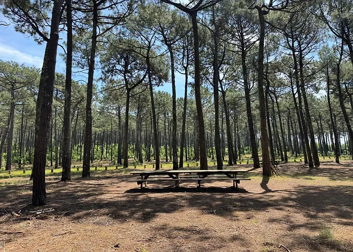 Duport - Le Hameau Des Pecheurs 1